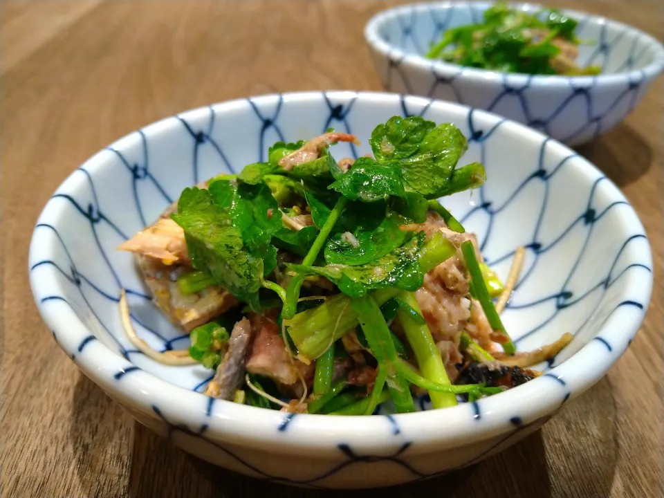 せりと鯖缶のナンプラー和え|古尾谷りかこさん