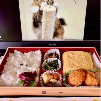 出汁巻きとんかつ弁当🍱|にゃあ（芸名）さん