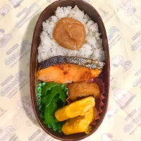 2026/01/23（金）子供弁当|cacaoさん