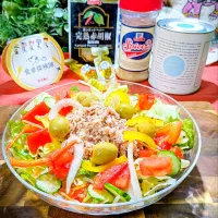 🌏『世界の食卓探検の旅〜🇪🇸スペイン』
【🇪🇸サン・イシドロサラダ】|ayaさん