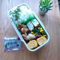 塩麹チキン弁当|みわさん