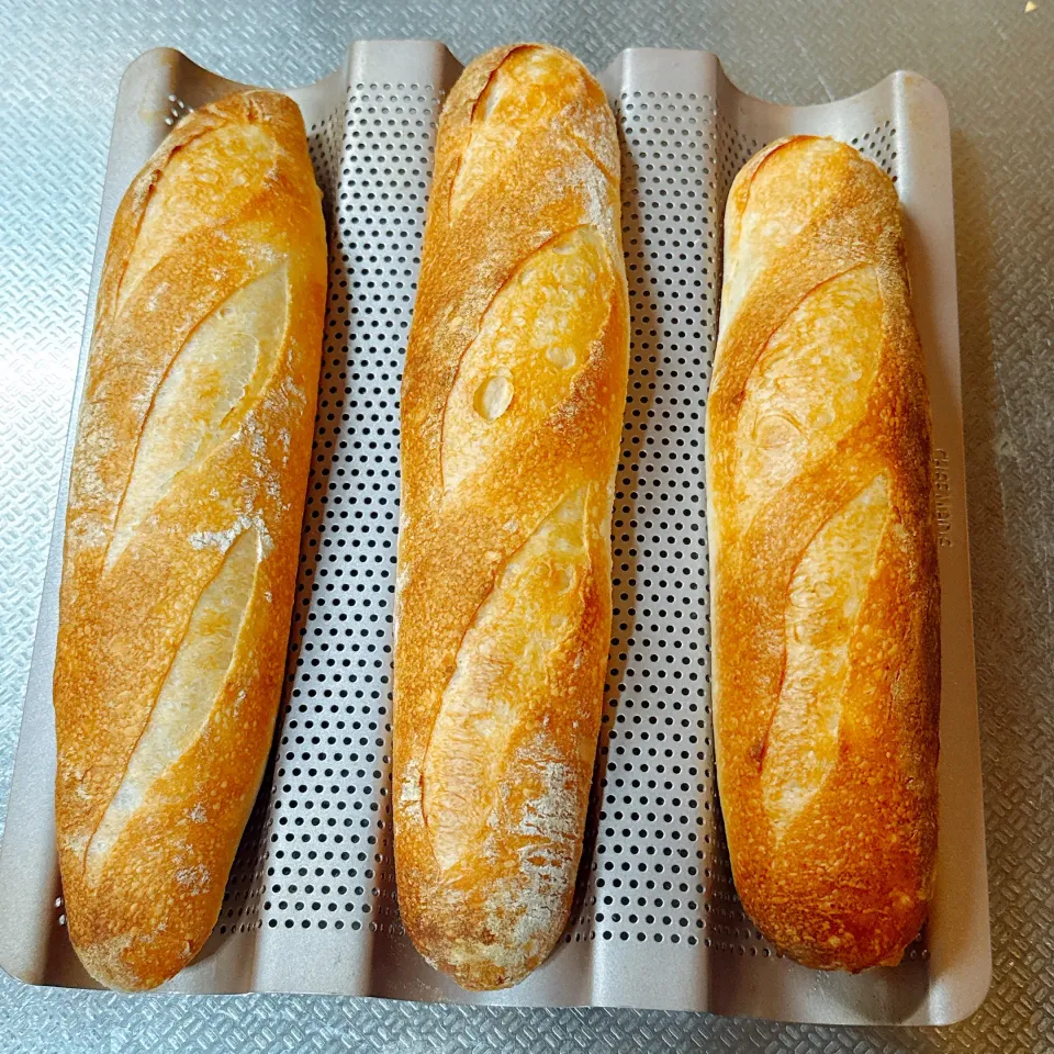 Blueberry🫐さんの料理 捏ねないオーバーナイト・リュスティック|Blueberry🫐さん