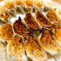 豚ひき肉と鶏むねムネひき肉、玉ねぎ、もやし、ニラのあっさり餃子🥟美味しく出来ました🤗✨💕|てるみさん