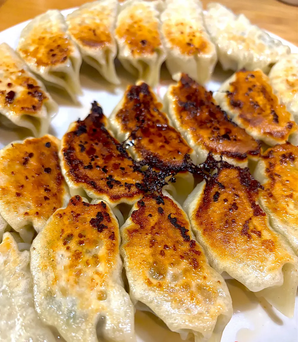 豚ひき肉と鶏むねムネひき肉、玉ねぎ、もやし、ニラのあっさり餃子🥟美味しく出来ました🤗✨💕|てるみさん