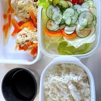 にんじんを使った親子丼と、サラダの組み合わせです。|マースさん