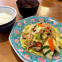肉野菜炒め|いがをさん