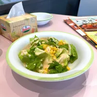 Green salad|skyblueさん