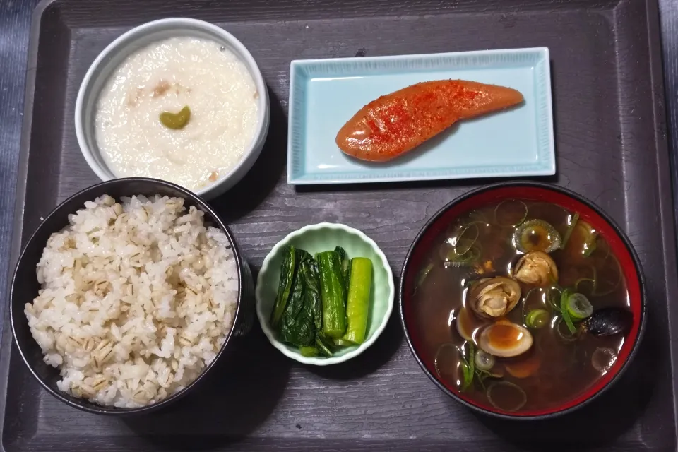 今日の朝ごはん（押麦ごはんに辛子明太子（あごおとし）、だるまいもの山かけ、赤だしのしじみ汁、野沢菜漬）|Mars＠釜飯作り研究中さん