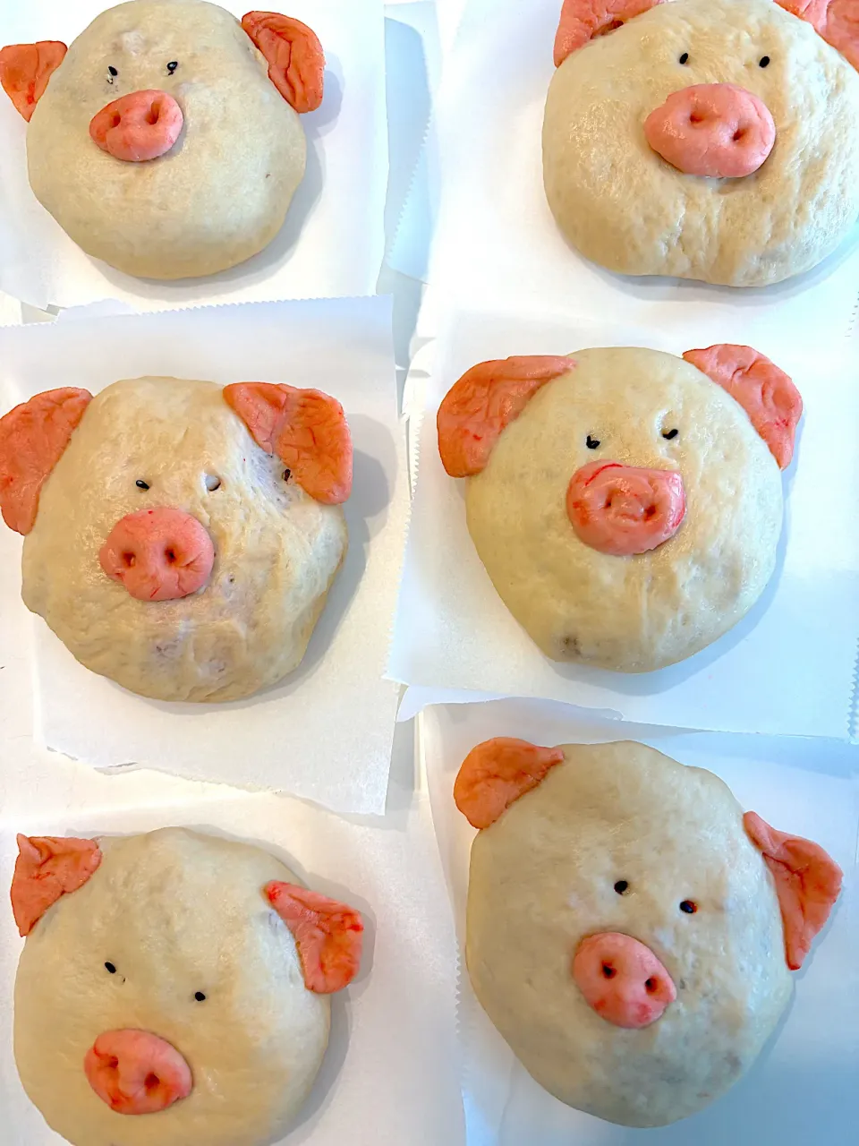 これが本当の豚まん😱|シュトママさん