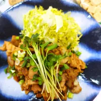 🔷この上ない柔らかさ🐖豚こまdeみそいり生姜焼き🍏🍏🔷|@きなこさん