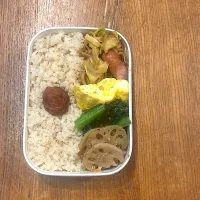 夫弁当1月27日| hatabowwyomeさん