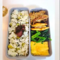 いつものお弁当🌼ゴマ添えて|。。°zunalife °。。さん
