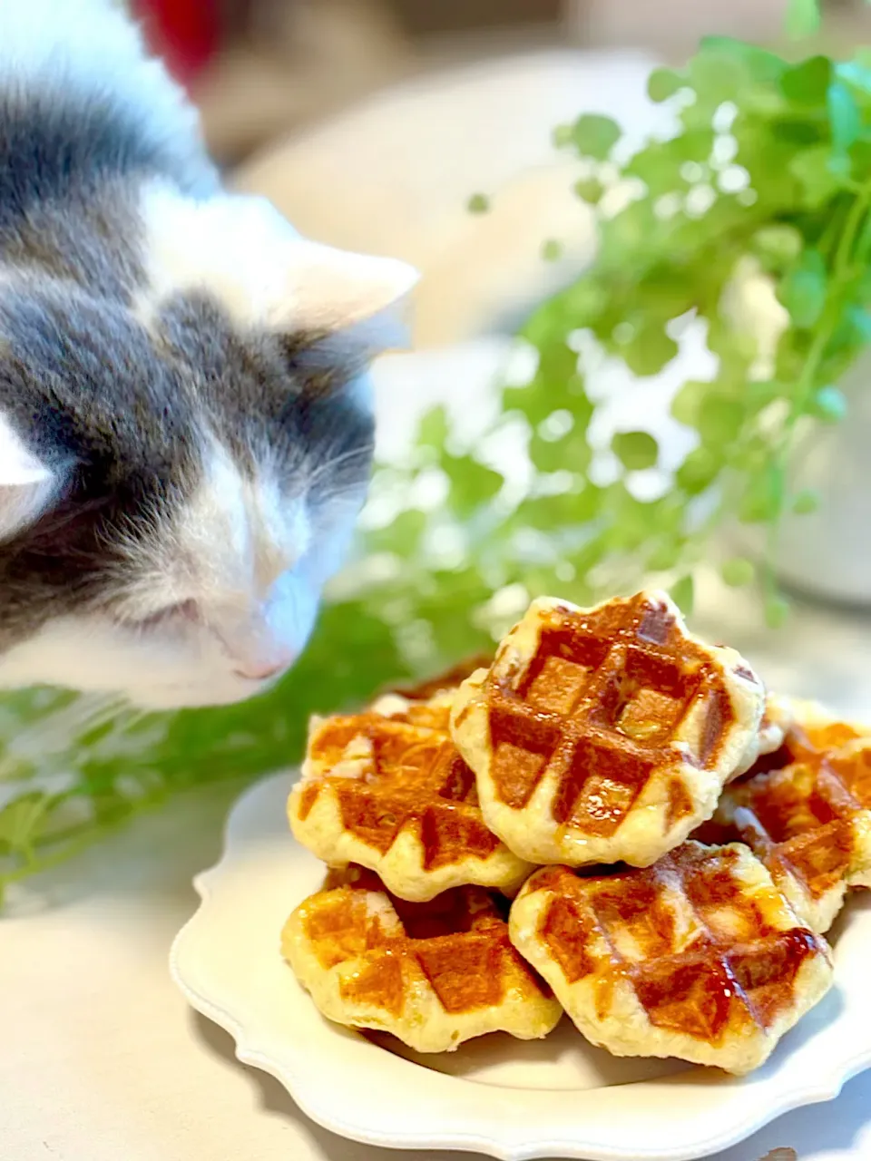 ベルギーワッフル🧇|lalapoさん