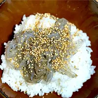 ☆生しらすご飯|まぁたんさん