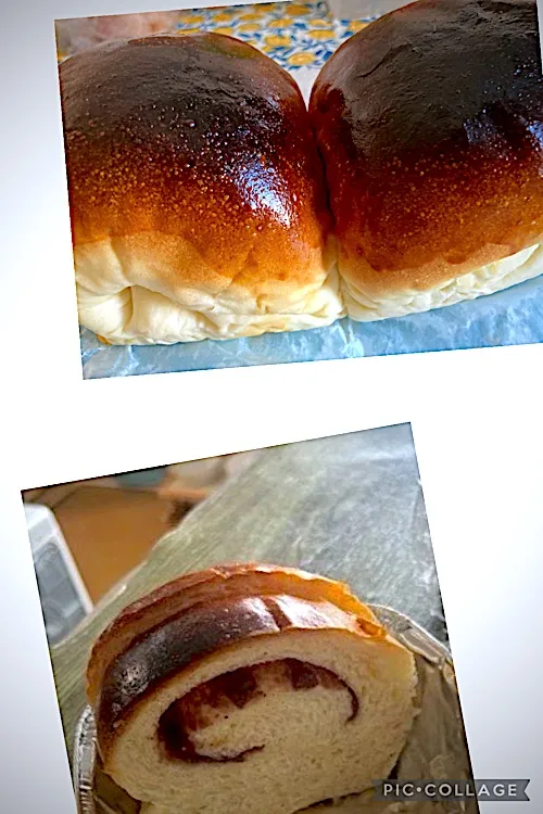 今日のパン|まやさん