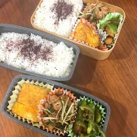 2026.1.28 高3息子、旦那弁当| こうれい母さん