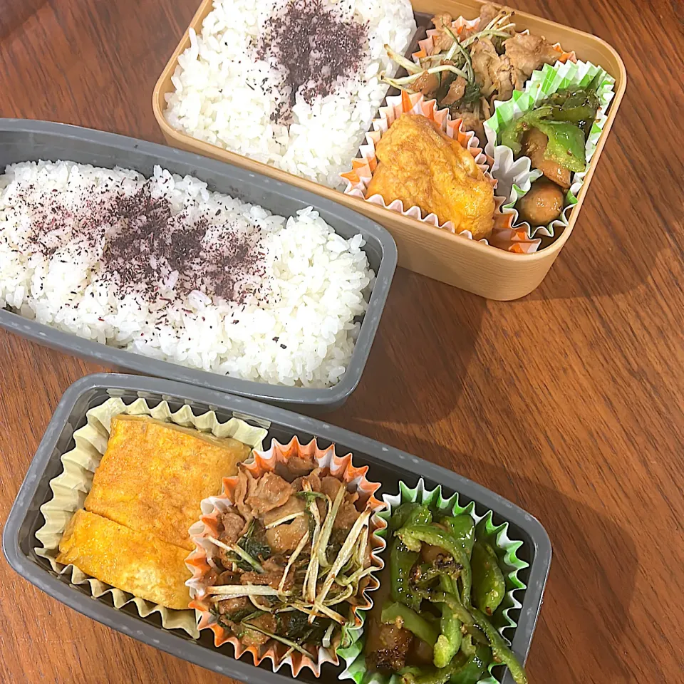 2026.1.28 高3息子、旦那弁当|こうれい母さん
