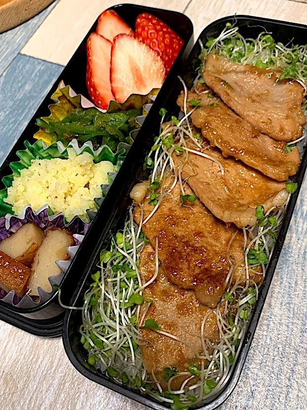 1/28生姜焼き弁当🥩|みっこちゃんさん