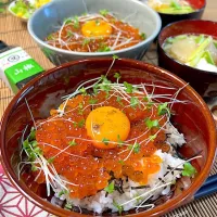 いくら丼〜🟠🔴|ラゴさん。さん