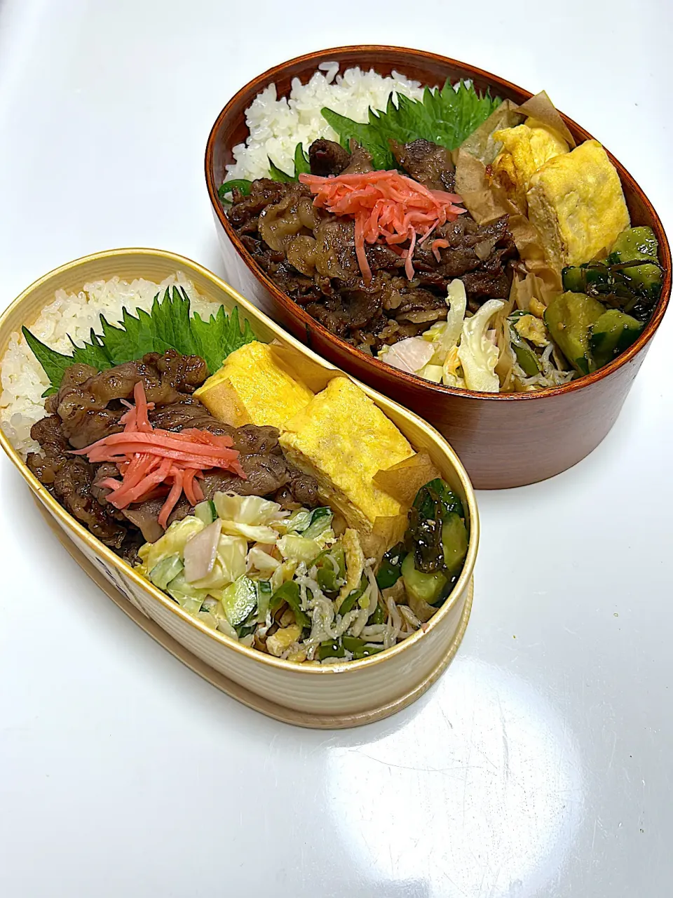 2026.01.29.|m...6さん