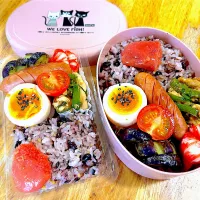 今日のお弁当|Daikiさん