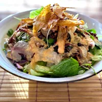 鯵と牛蒡のサラダ| keisukeさん