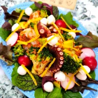 🔷🐙蛸とパールモッツァレラの🇪🇸タパス🥗🔷