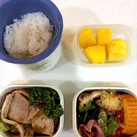 1月30日のお弁当🍱|momotoemiさん