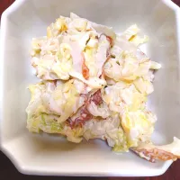 白菜と竹輪のマヨサラダ|のばーきさん