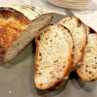 お久しぶりのカンパーニュ|CKさん