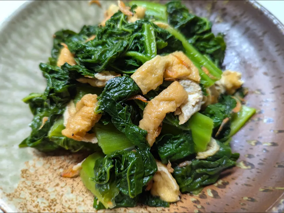 かつお菜の炒めもの|chiaraさん