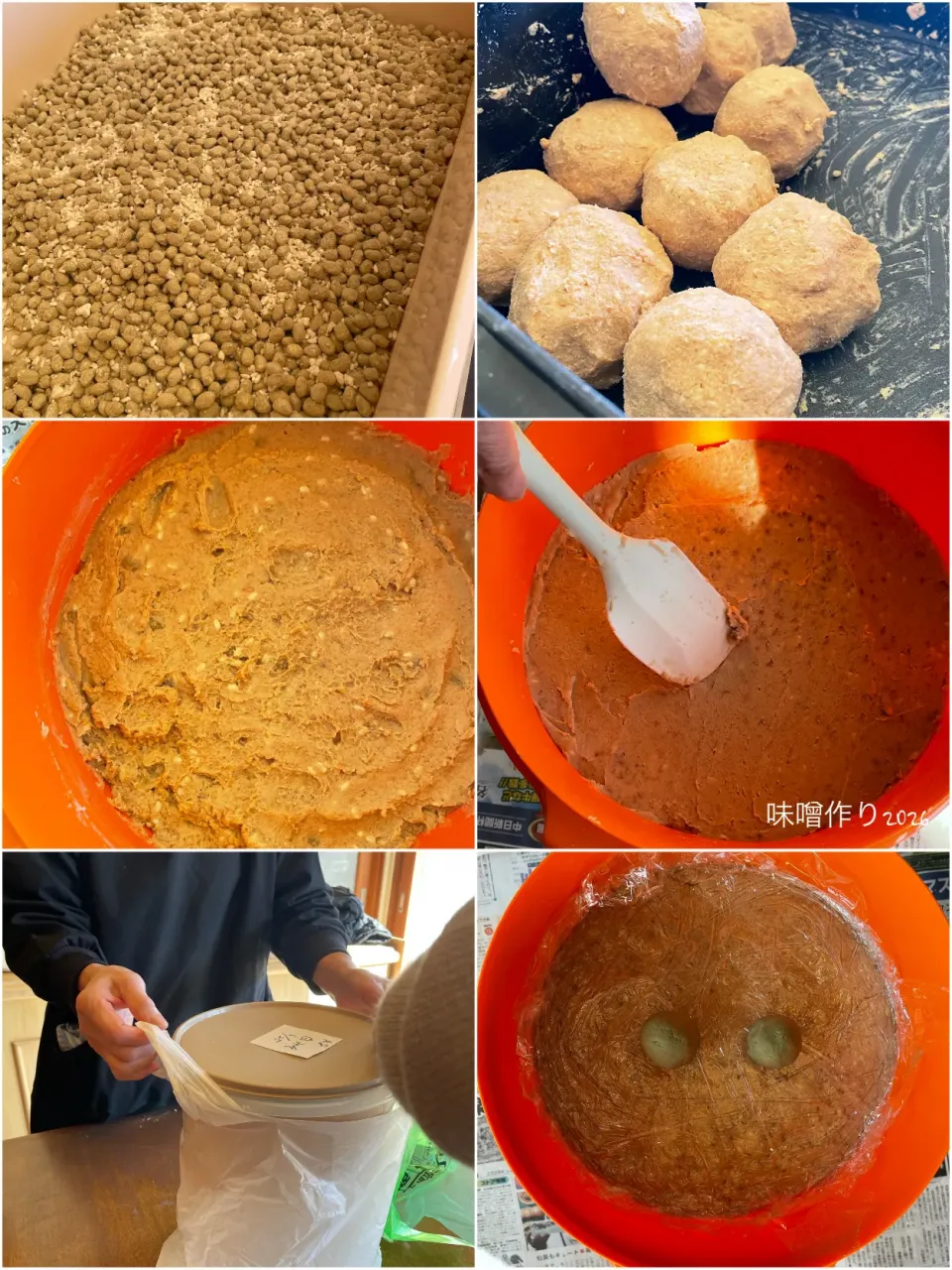 味噌作り2026|yucca@さん