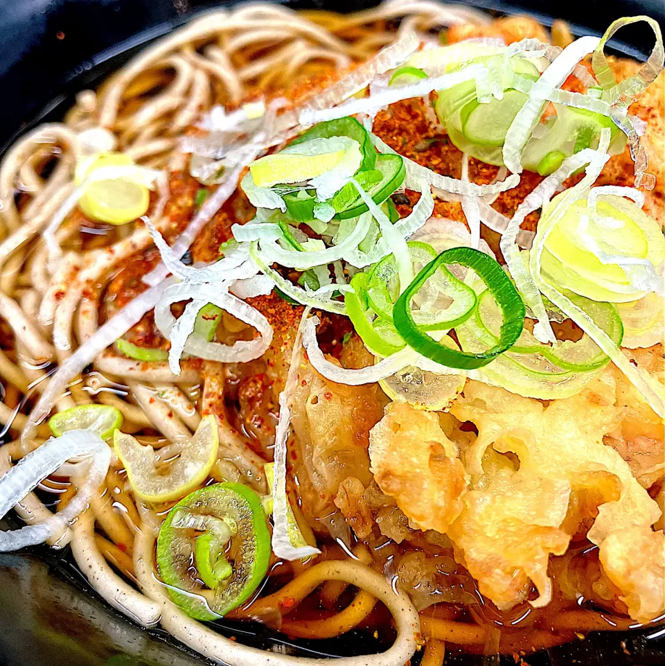 かき揚げそば|ユキちゃんさん