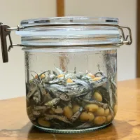 最近の常備食: かえりちりめんと大豆の酢漬け|kaoriさん