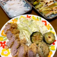 ヒレカツとイカ刺身と長葱グリルの夕食|masaさん