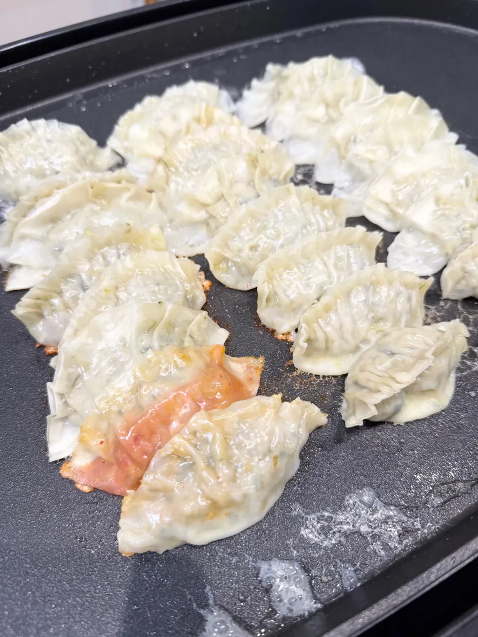 夫＆息子作 餃子|めいめいさん