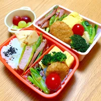 夫と次女のお弁当🍱🍙|シズソラさん