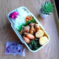 塩麹チキン弁当| みわさん