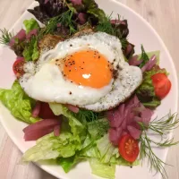 サラダ🩷|Maho Sanoさん