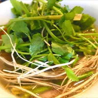 【1/31、2/1の限定】 
【食べログ TOP 5000】 
中華そば しながわ 
プレミアム稲庭中華そば 塩味
 (醤油or塩の選択、1,200円) 
＋セリ増し (200円) 
@要町4分 
(JR池袋駅から徒歩14分) 
22029
〈醤13塩8噌󠄀2タ2出1F1冷0チ1混1つ0〉|大脇さん