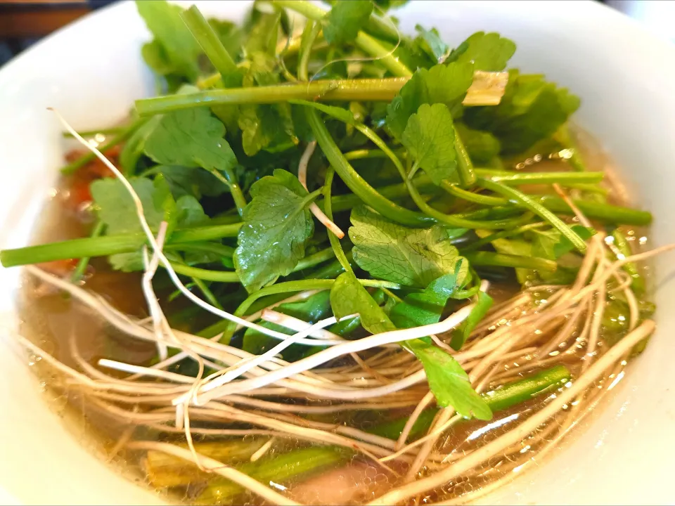 【1/31、2/1の限定】 
【食べログ TOP 5000】 
中華そば しながわ 
プレミアム稲庭中華そば 塩味
 (醤油or塩の選択、1,200円) 
＋セリ増し (200円) 
@要町4分 
(JR池袋駅から徒歩14分) 
26029
〈醤13塩8噌󠄀2タ2出1F1冷0チ1混1つ0〉|大脇さん