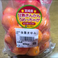 🍊生で皮ごと甘〜い！きんかん🍊| みよぱさん