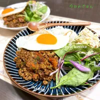 ドライキーマカレー|亜矢子さん