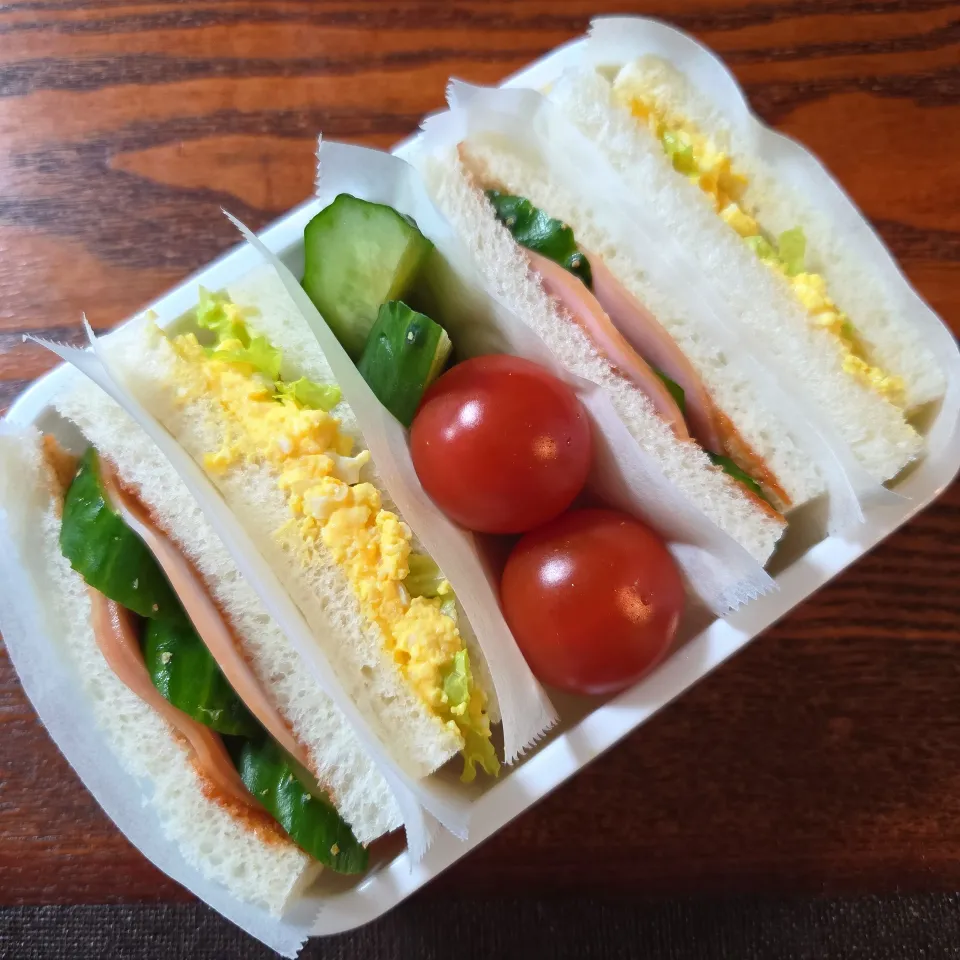 今日のお弁当|aoiさん