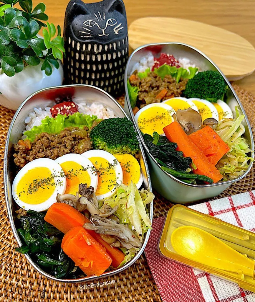 辛口キーマカレー弁当🍛|ラゴさん。さん