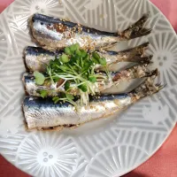 塩麹、生姜の汁で煮た鰯|sakuraいくこさん
