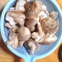 2026.0202|maimaipapaさん