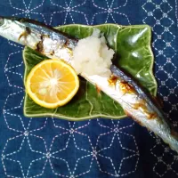 さんまの塩焼き　かぼす|よっちびやばんぶーさん