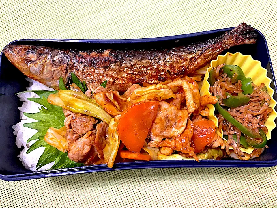 単身赴任弁当375|単身赴任のっちさん