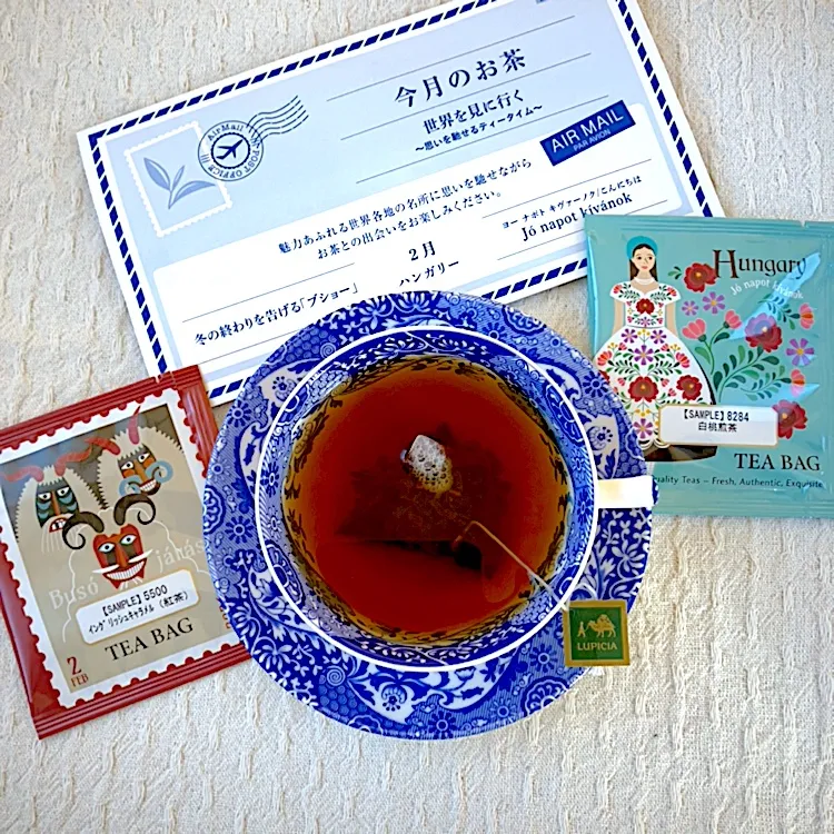 【本日の紅茶】ルピシア2月のお茶 ハンガリー🇭🇺冬の終わりを告げる「ブショー」|紅茶とお菓子と時々ごはんさん